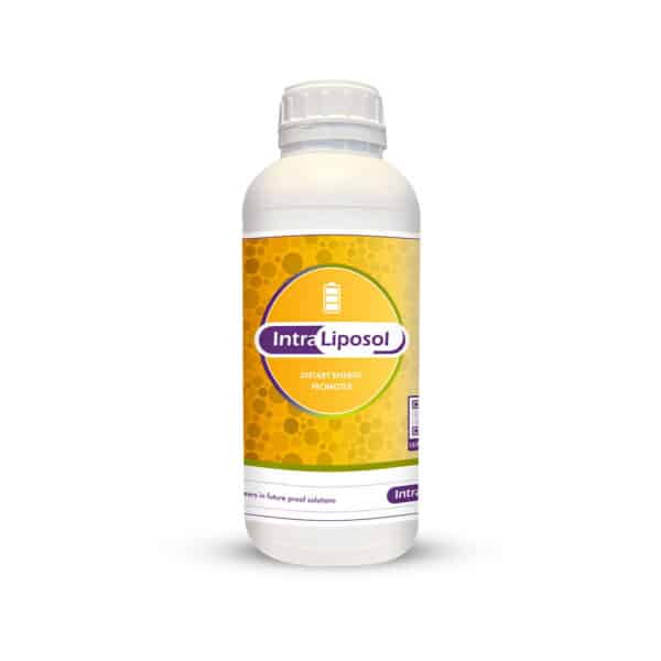 Intra liposol 10 Liter